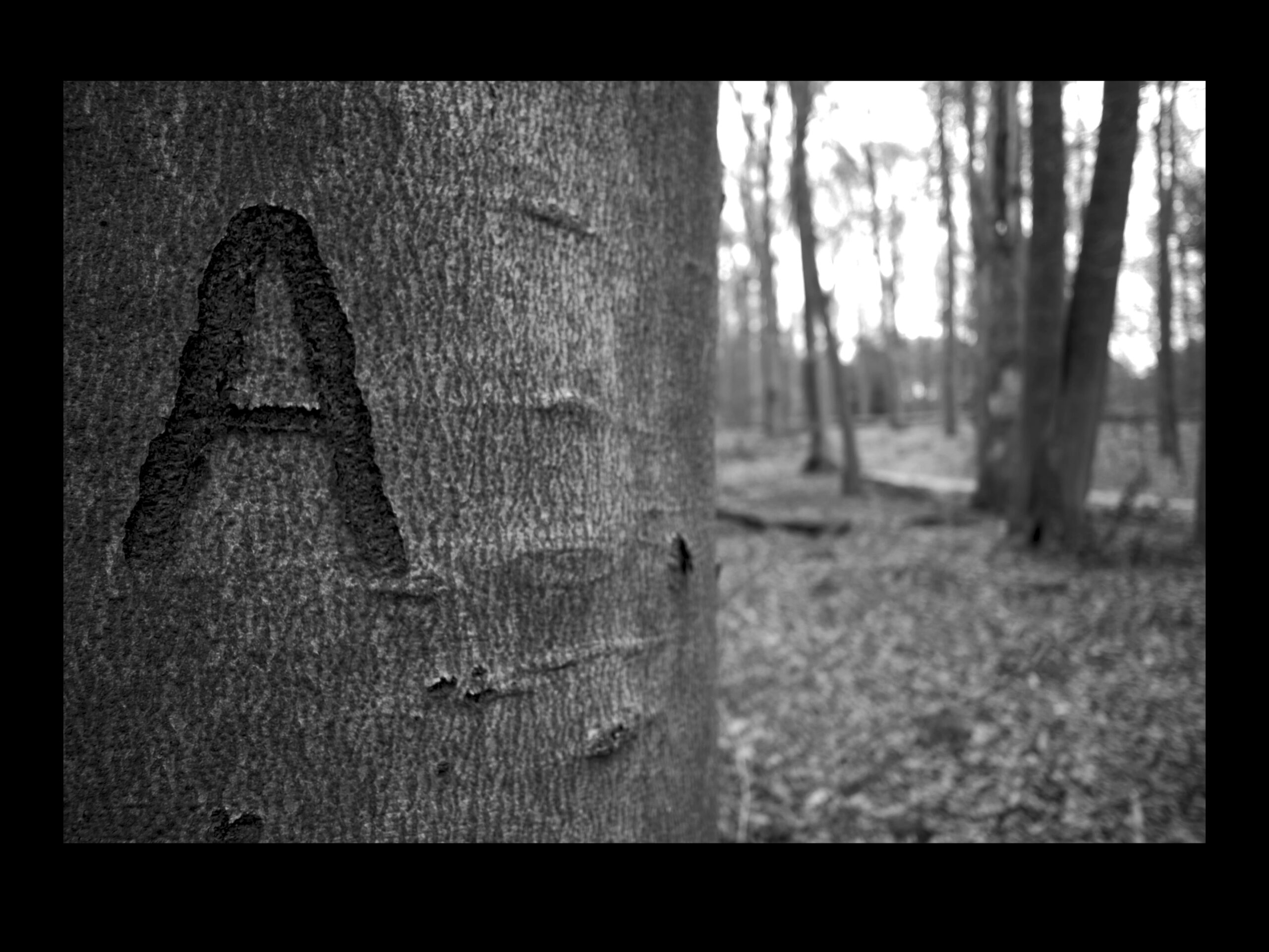 46