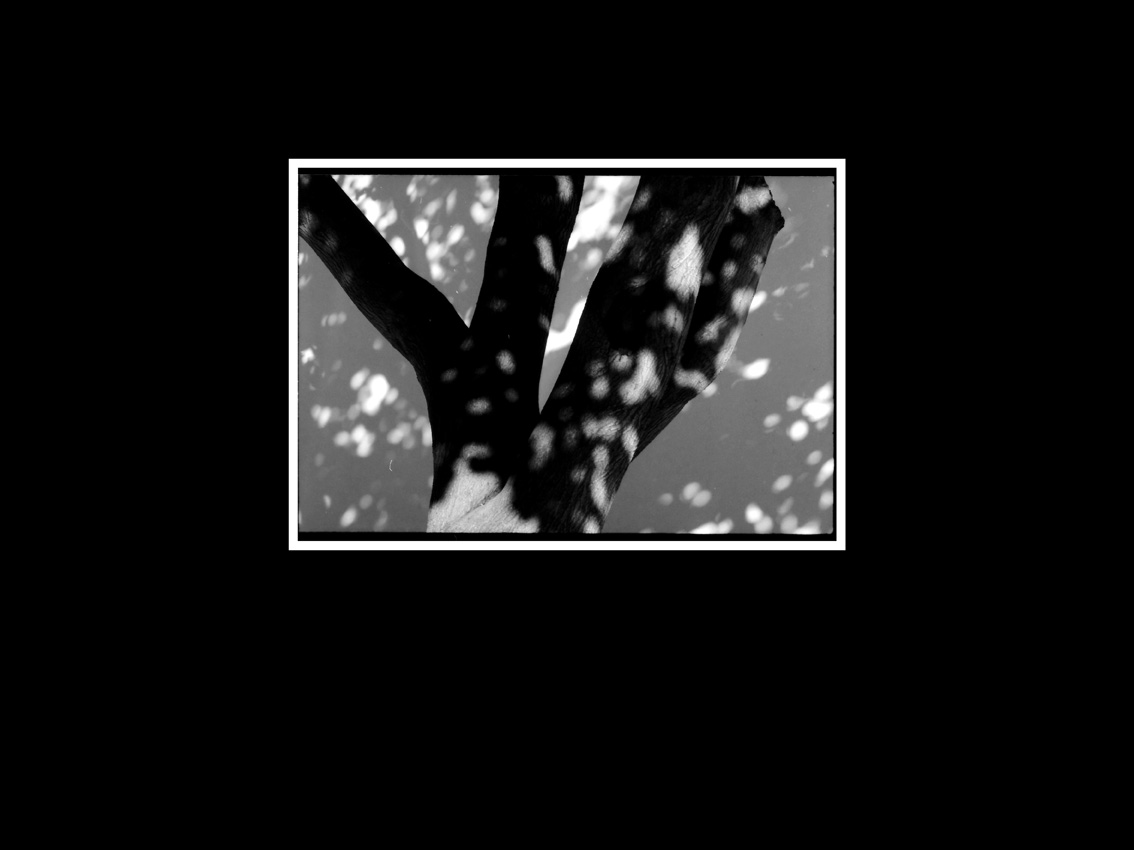 Seite02